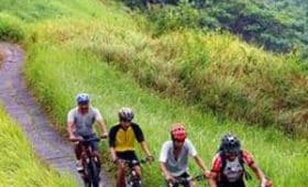 Balinese village cycling tour and sightseeing-cycling tour package- Adi Ubud tour