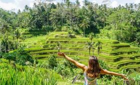adi ubud tour-professional tour guide and speaking English driver-bali tour guide- interesting place in Bali-Tegallalang ceking terrace -rice paddy terrace Bali